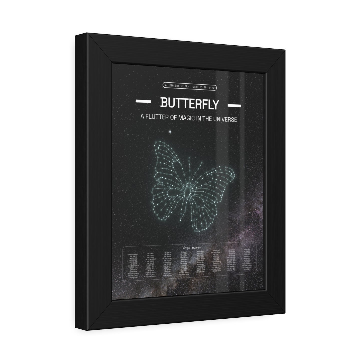 Black Framed Poster